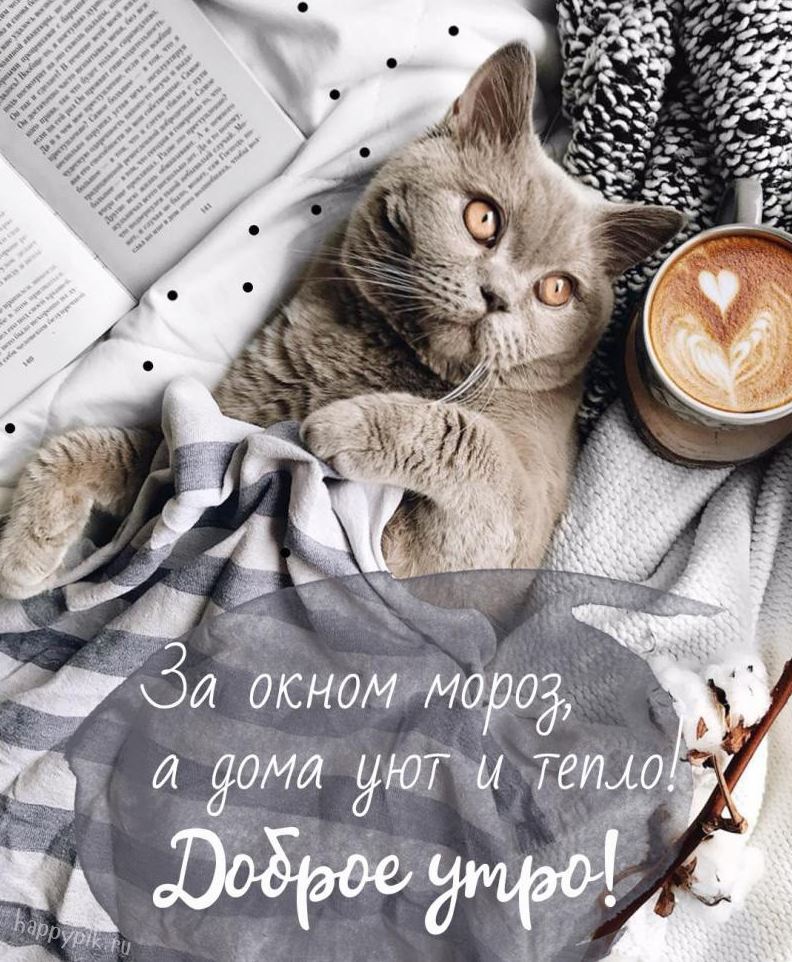 Хостинг картинок yapx.ru