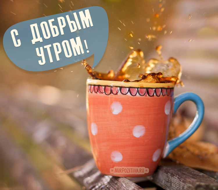 Хостинг картинок yapx.ru