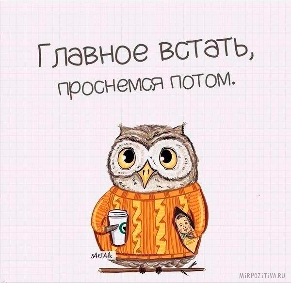 Хостинг картинок yapx.ru
