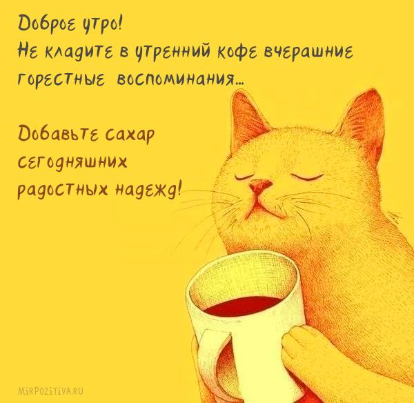 Хостинг картинок yapx.ru