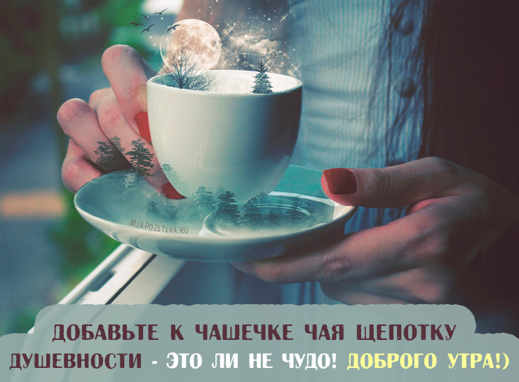 Хостинг картинок yapx.ru
