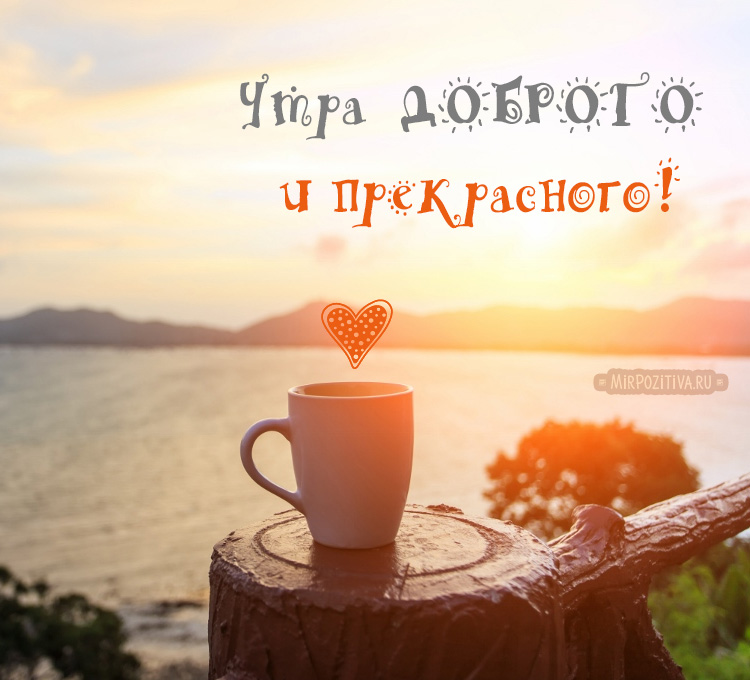 Хостинг картинок yapx.ru