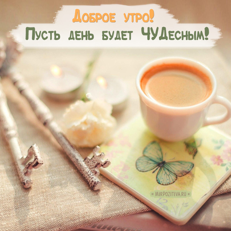 Хостинг картинок yapx.ru