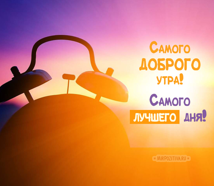 Хостинг картинок yapx.ru