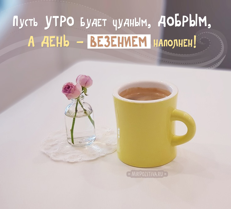 Хостинг картинок yapx.ru