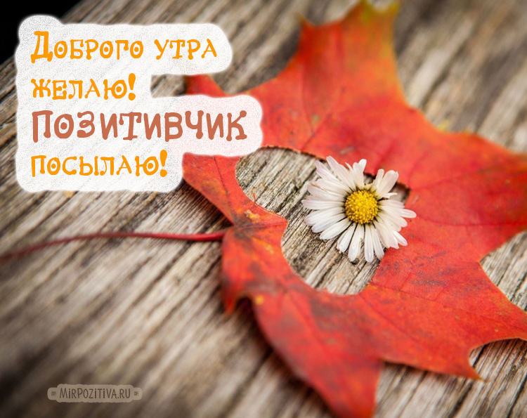 Хостинг картинок yapx.ru