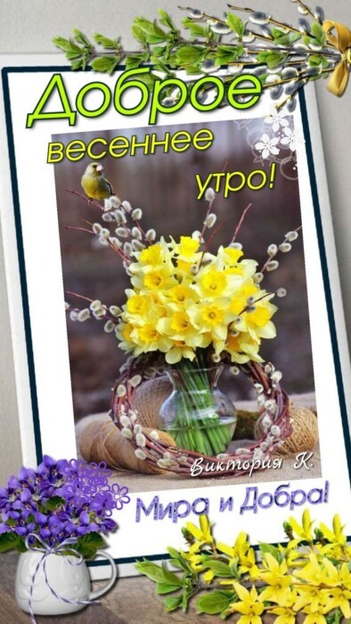 Хостинг картинок yapx.ru