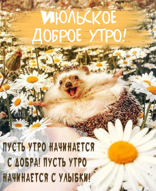 Доброго Июльского утра, друзья! Я хотел бы передать вам свои самые искренние пожелания и пожелать вам прекрасного начала этого прекрасного месяца. Доброго Июльского утра, друзья! Я хотел бы передать вам свои самые искренние пожелания и пожелать вам прекрасного начала этого прекрасного месяца.