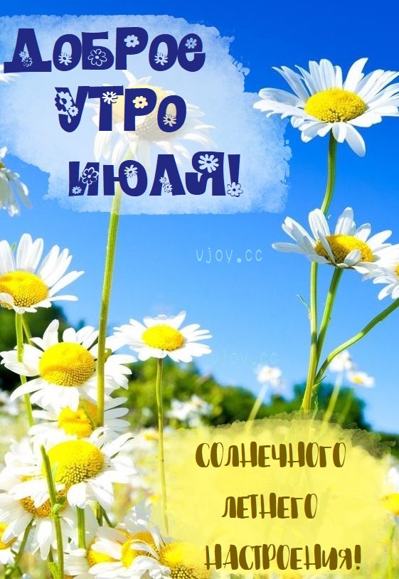 Насладитесь свежестью утреннего ветра, теплом лучей Июльского солнца на вашей коже и нежностью травы под вашими ногами. Насладитесь свежестью утреннего ветра, теплом лучей Июльского солнца на вашей коже и нежностью травы под вашими ногами.