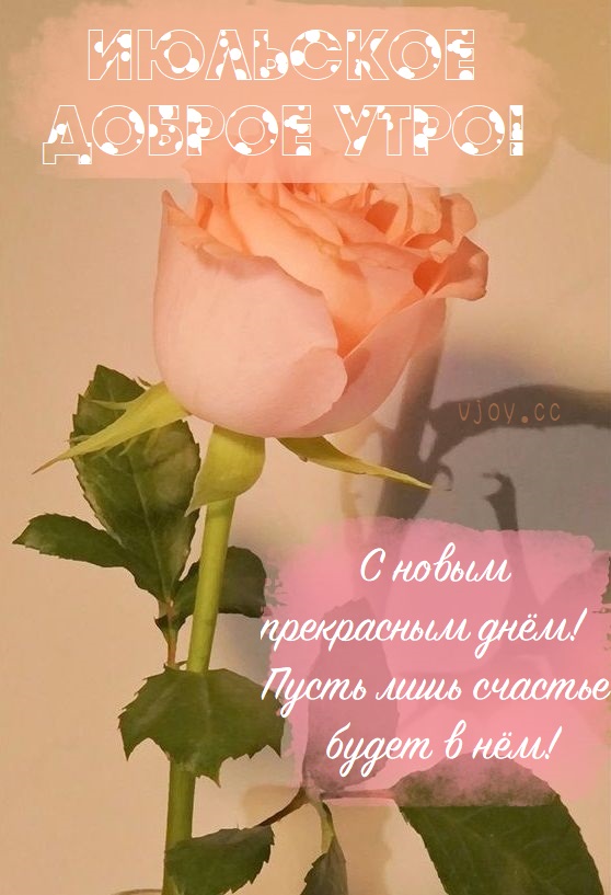 Позвольте себе расслабиться и насладиться моментом. Позвольте себе расслабиться и насладиться моментом.