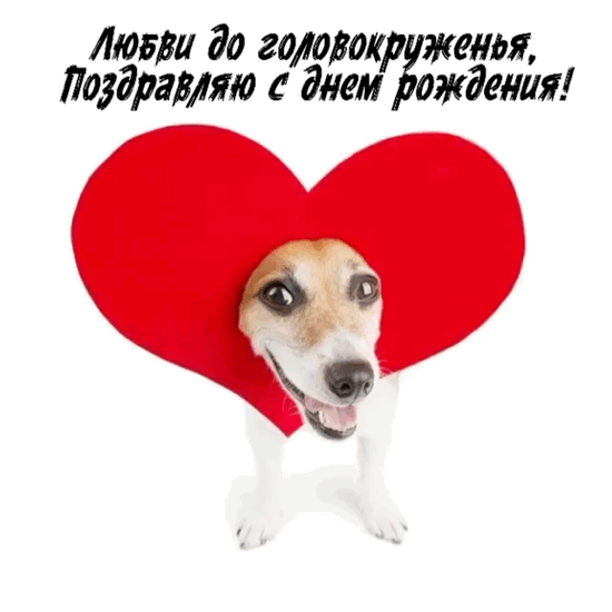 Смешные открытки и картинки с днём рождения женщине. 