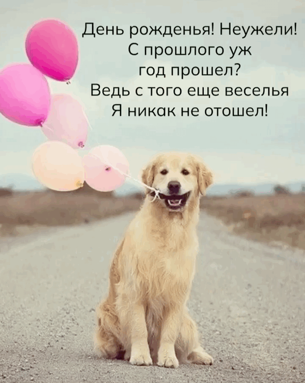 За столом мы хлебнем за здоровье, И головастых поотдерем! С тобой всегда так весело, Тебе всем смеяться хочется!