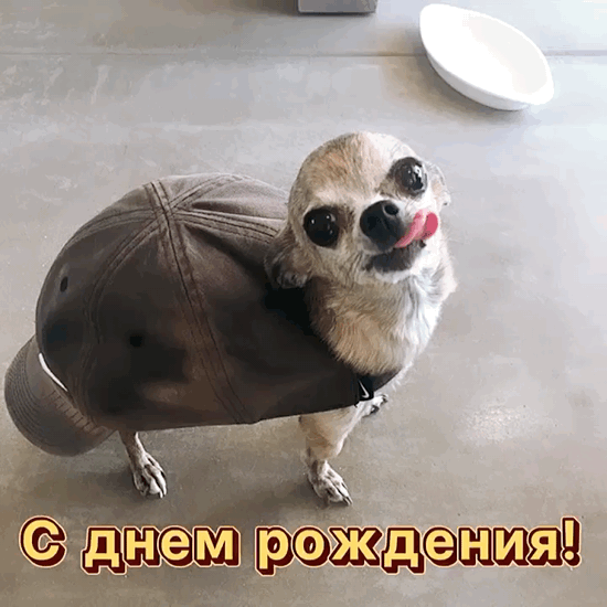 Ты день трудился на этой земле, Раскрывался, как роса на цветке. Теперь на часики ставим ноль, И смех, радость в тебе танцуют вольно.