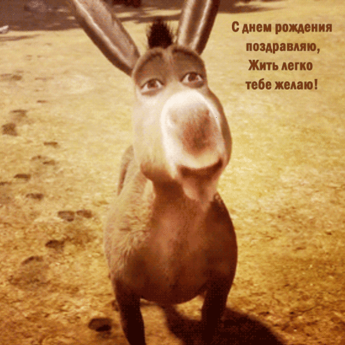 Ты мудрый и умный, но все равно шалун, Веселье и смех - это твое счастье, планы. Тебя все любят, и это неспроста, Ведь с тобой всегда весело, и никто не скучает.
