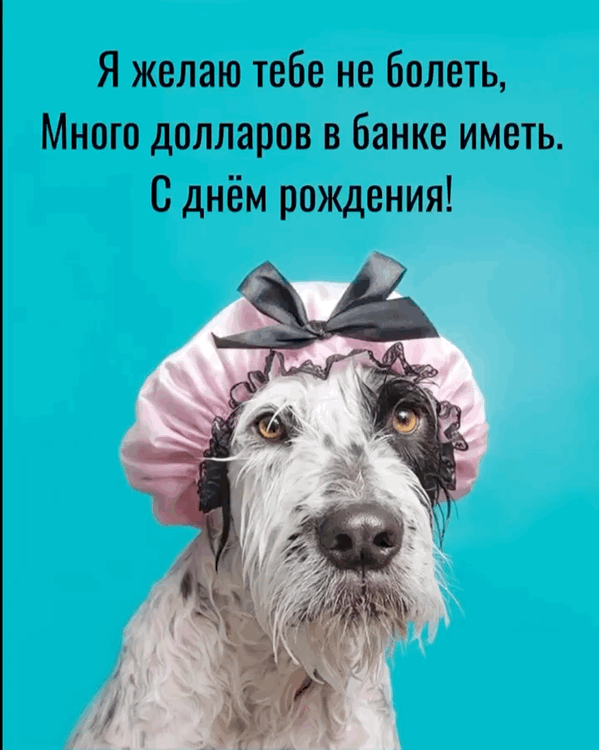 Гифки С днём рождения с изображениями собак на ДР.