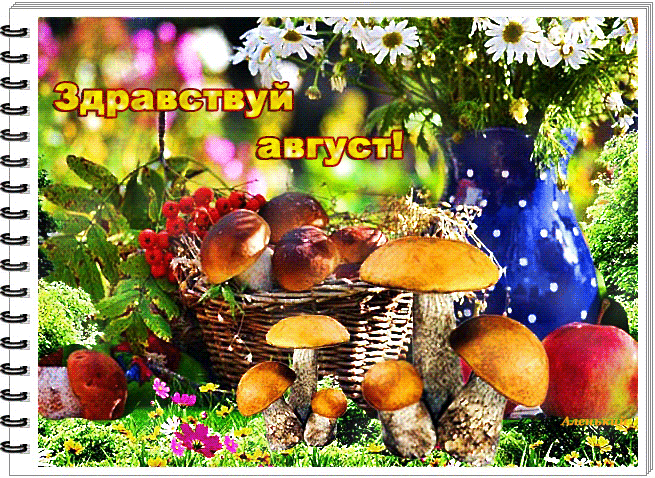 Лето анимация, Мерцающие открытки с летом.