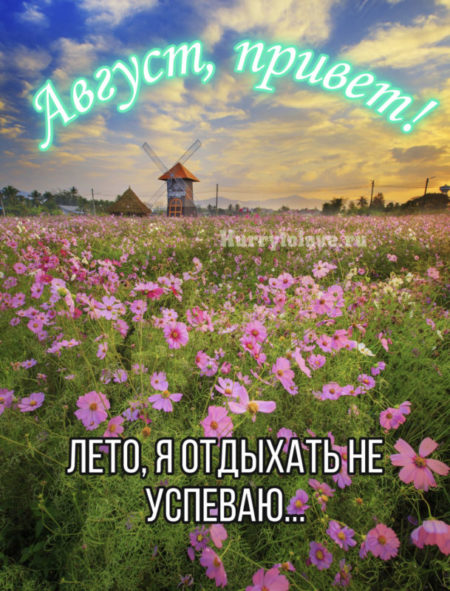 Картинки С Августом Первый День. Картинки С Августом Первый День.