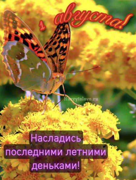 Поздравления с Августом Поздравления с Августом