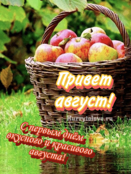 Здравствуй август Здравствуй август