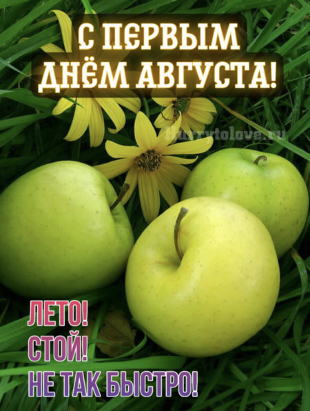 Красивая картинка счастливого августа. Красивая картинка счастливого августа.