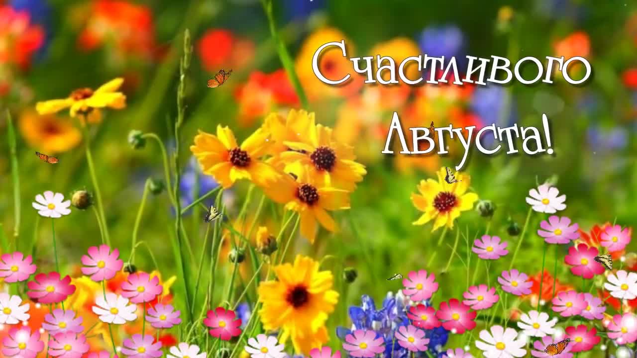 Открытки с последним месяцем лета Открытки с последним месяцем лета