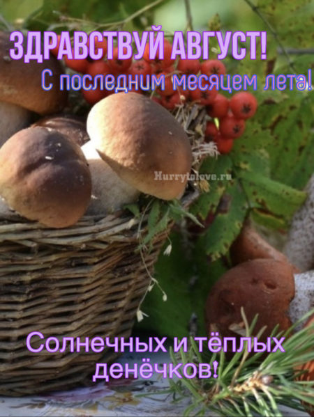 Прикольные картинки на 1 августа. Прикольные картинки на 1 августа.
