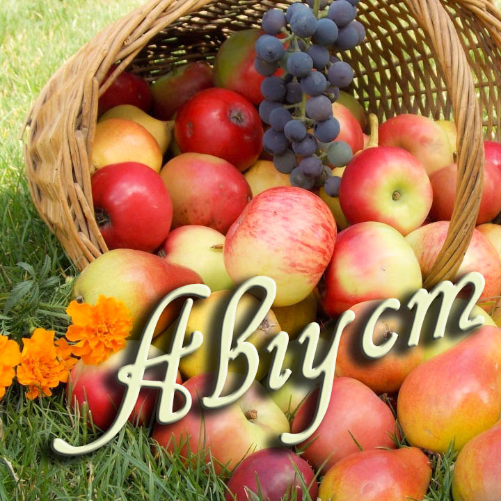 Картинки С Августом Первый День. Картинки С Августом Первый День.
