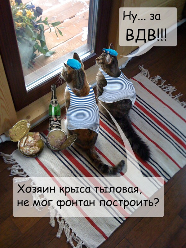 Прикольные картинки с дембелем - фото.