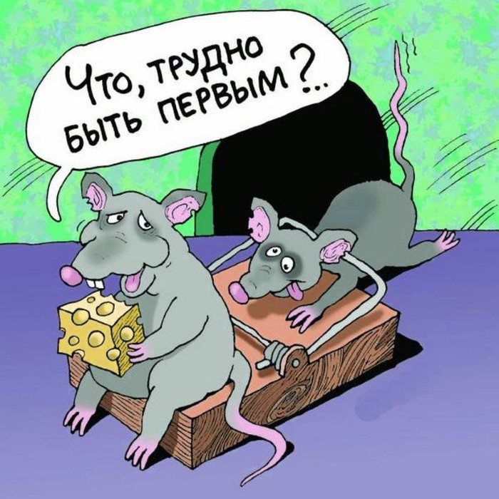 Хостинг картинок yapx.ru