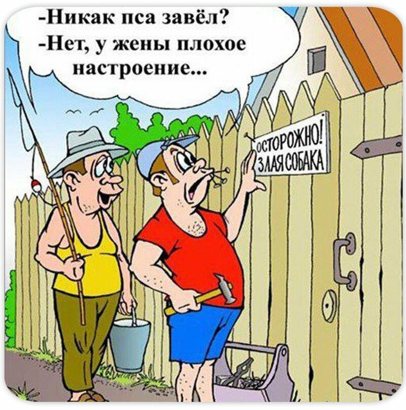 Хостинг картинок yapx.ru