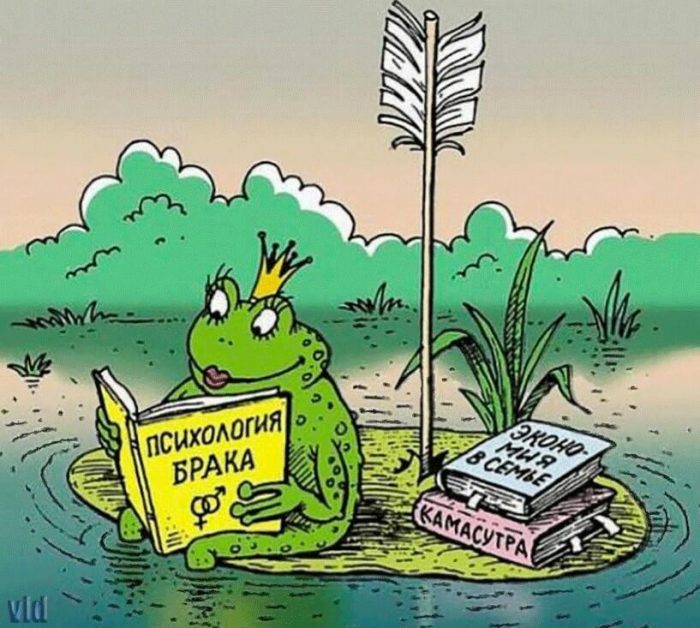 Хостинг картинок yapx.ru