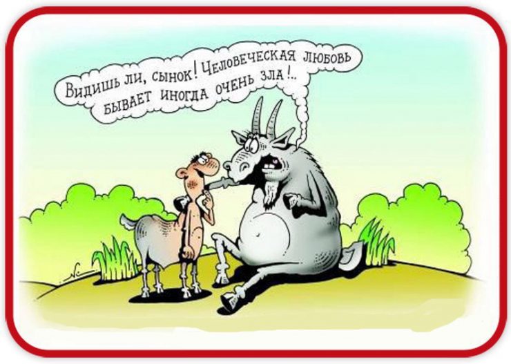 Хостинг картинок yapx.ru