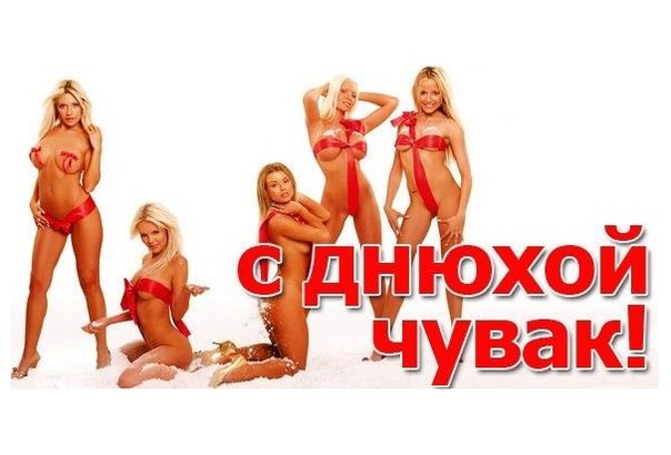 Хостинг картинок yapx.ru
