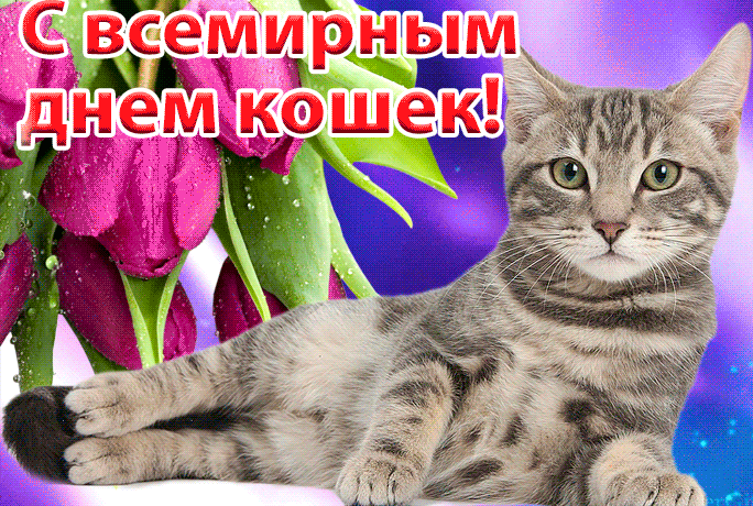 Оригинальные, новые открытки С международным днём кошек 2023.