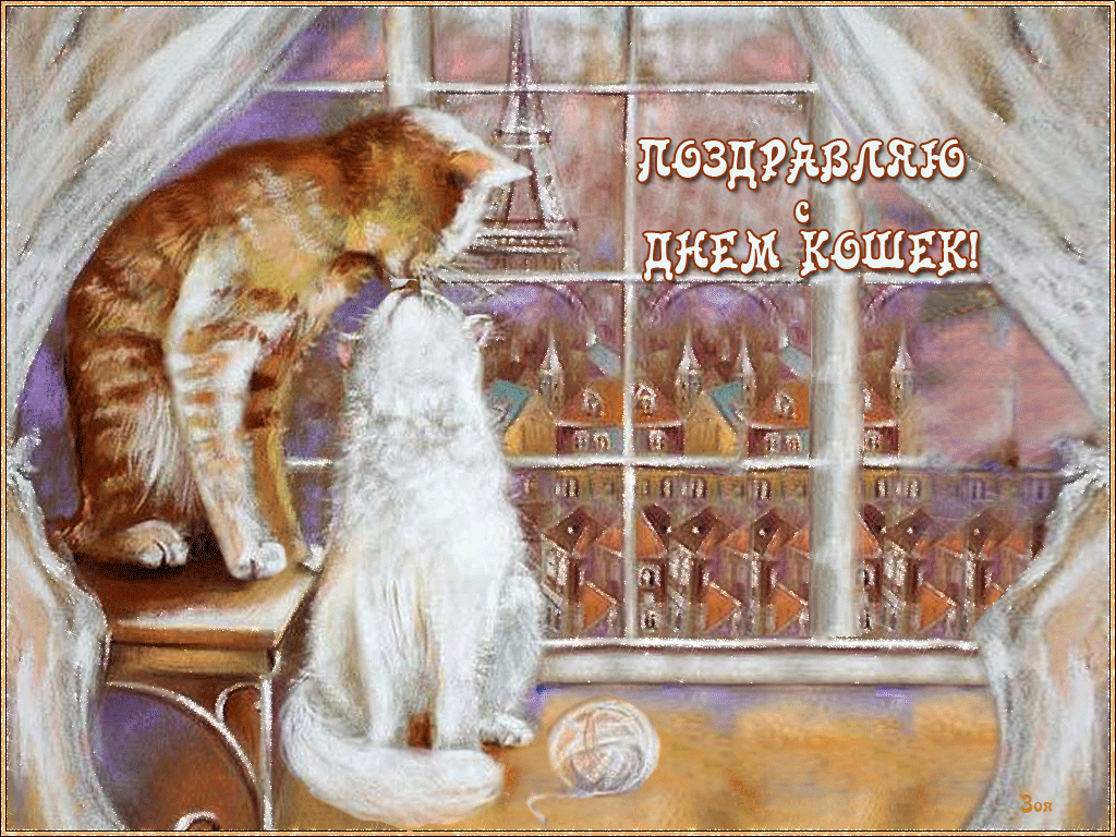 Гифки с Всемирным днём кошек 8 Августа 2023 скачать бесплатно.