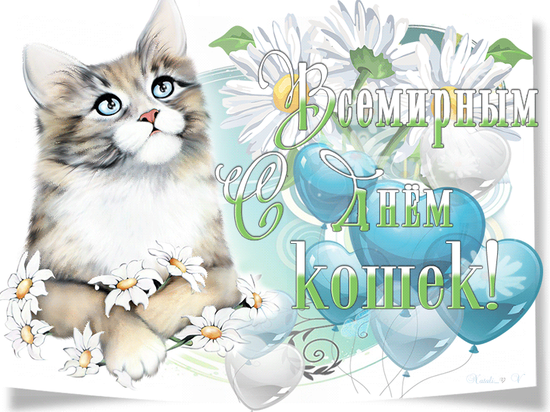 Смс поздравления с всемирным днем кошек 2023.
