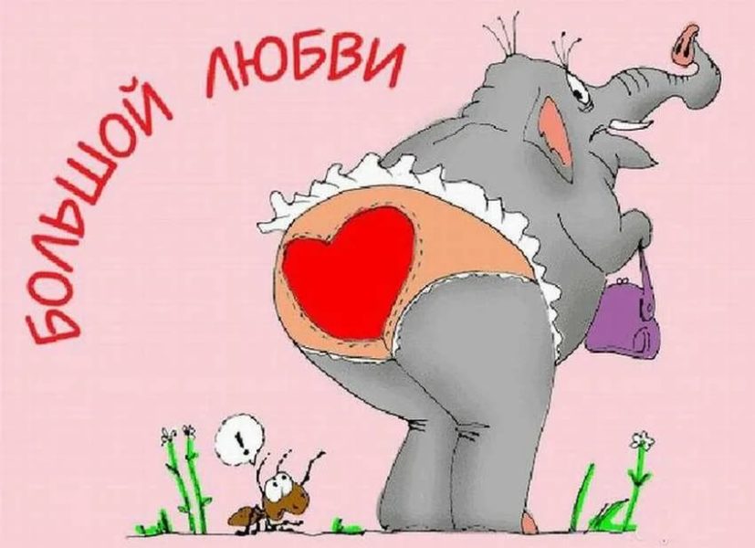 Хостинг картинок yapx.ru