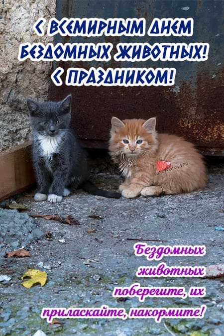 Всемирный день бездомных животных - картинки с надписями на 19 августа 2023. Всемирный день бездомных животных - картинки с надписями на 19 августа 2023.