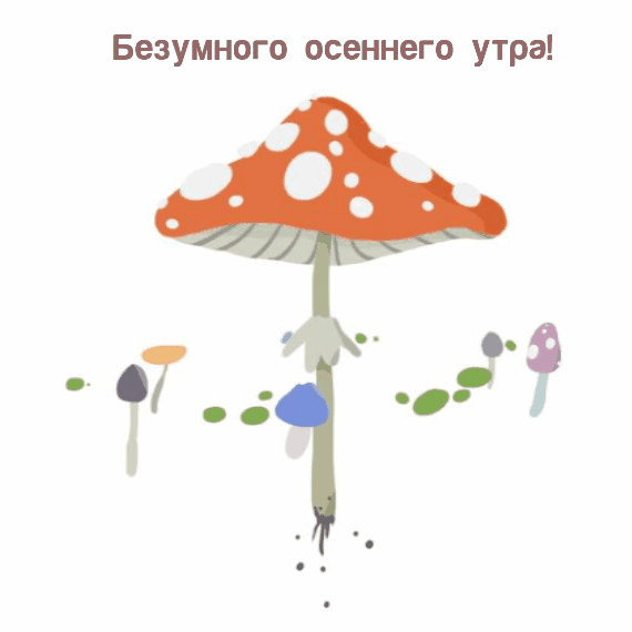 Теплого осеннего утра