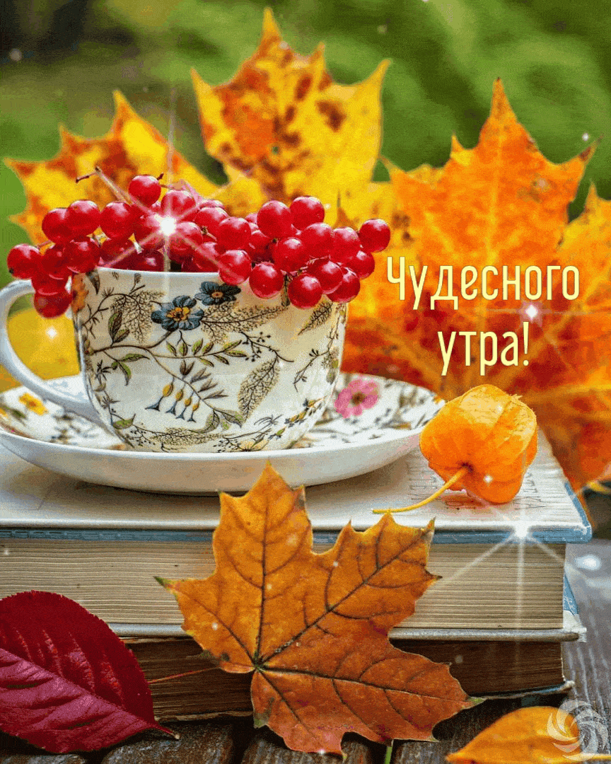 Открытки с добрым осенним утром октября