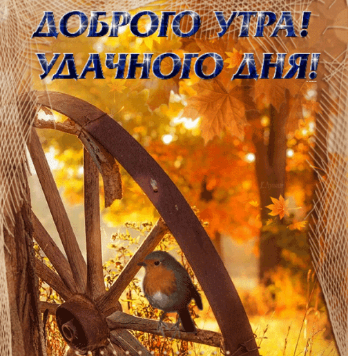 Коллекция красивых осенних картинок для пожелания доброго утра. 