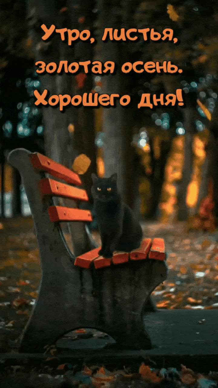 Осенние открытки "Доброго утра!".