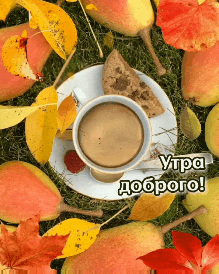 Новые и необычные картинки с пожеланием доброго осеннего утра и хорошего дня.