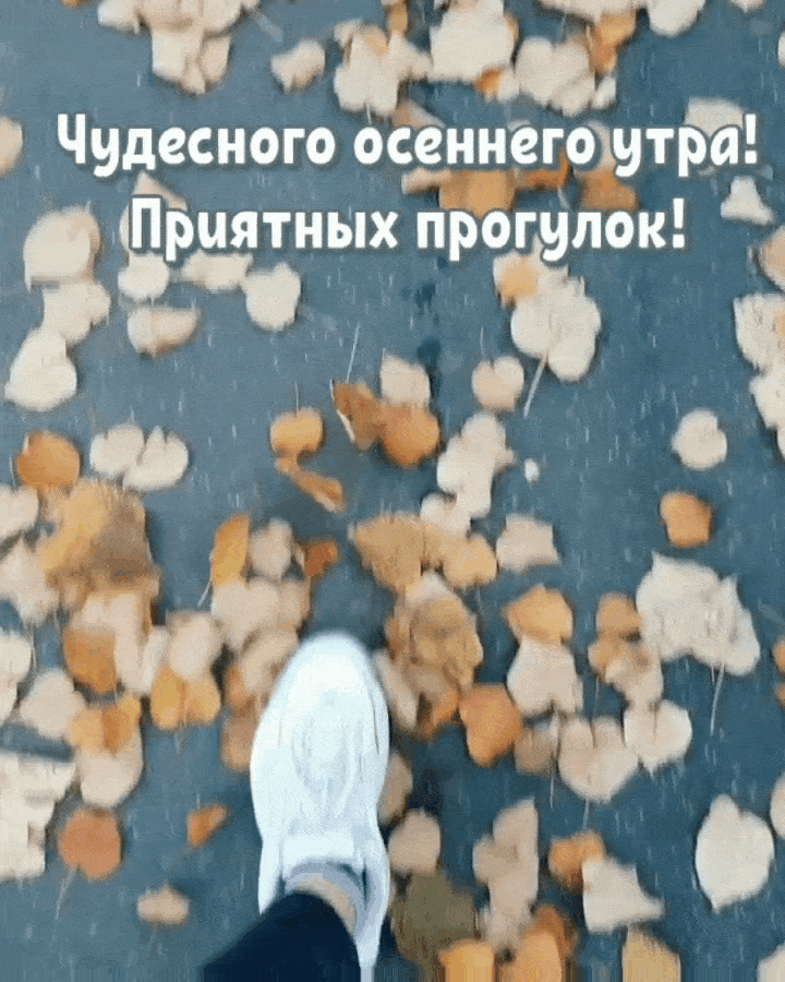 Анимационные открытки с осенним утром
