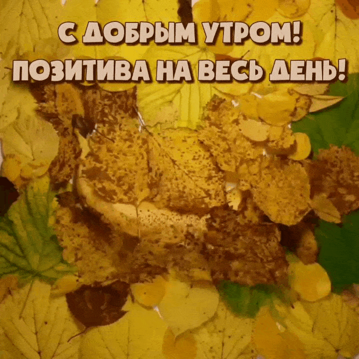С добрым утром осенним с пожеланиями