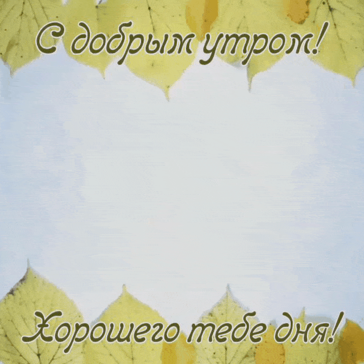 Доброе осеннее утро гифки