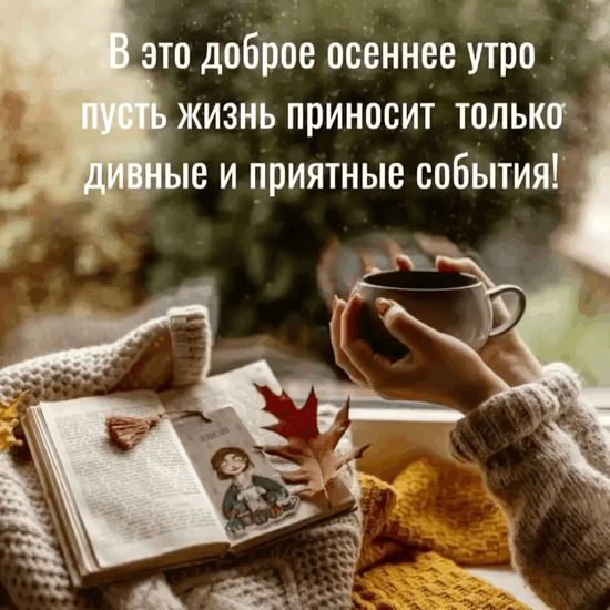Картинки с добрым утром осенние скачать бесплатно.