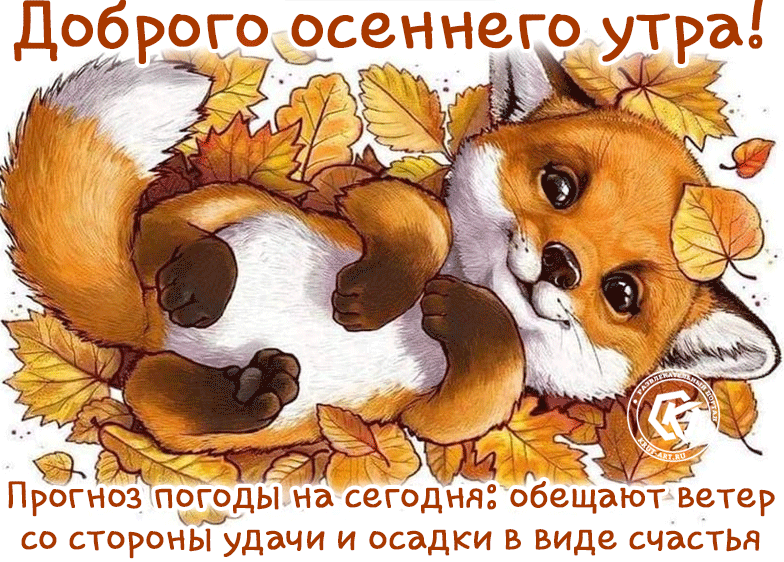 С добрым осенним утром картинки скачать бесплатно.