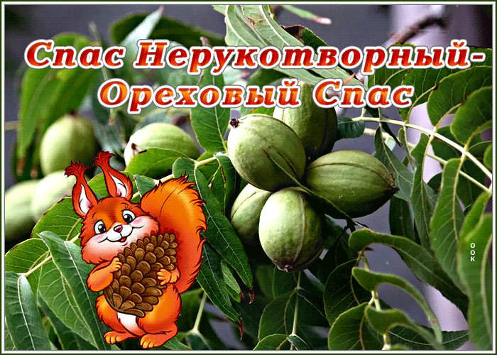 Гифки с Ореховым спасом 2023, 2024 скачать бесплатно. Гифки с Ореховым спасом 2023, 2024 скачать бесплатно.