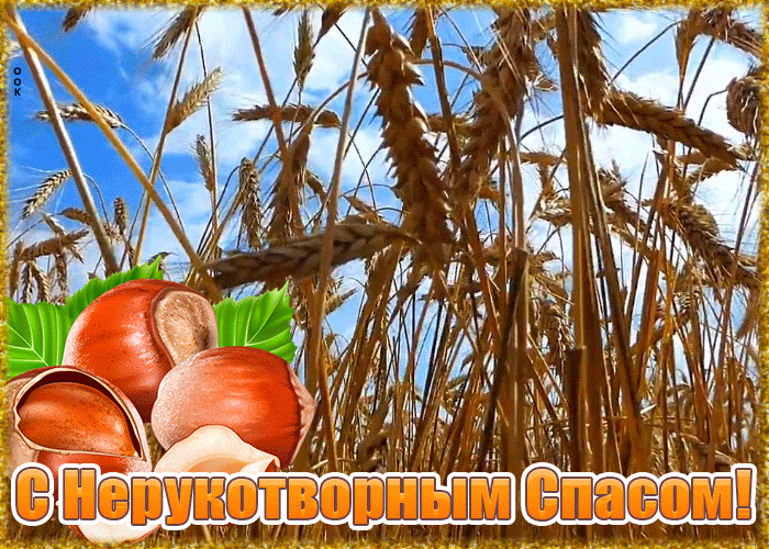 На этой странице вы найдете Гифки Ореховый Спас которые можно скачать совершенно бесплатно. На этой странице вы найдете Гифки Ореховый Спас которые можно скачать совершенно бесплатно.